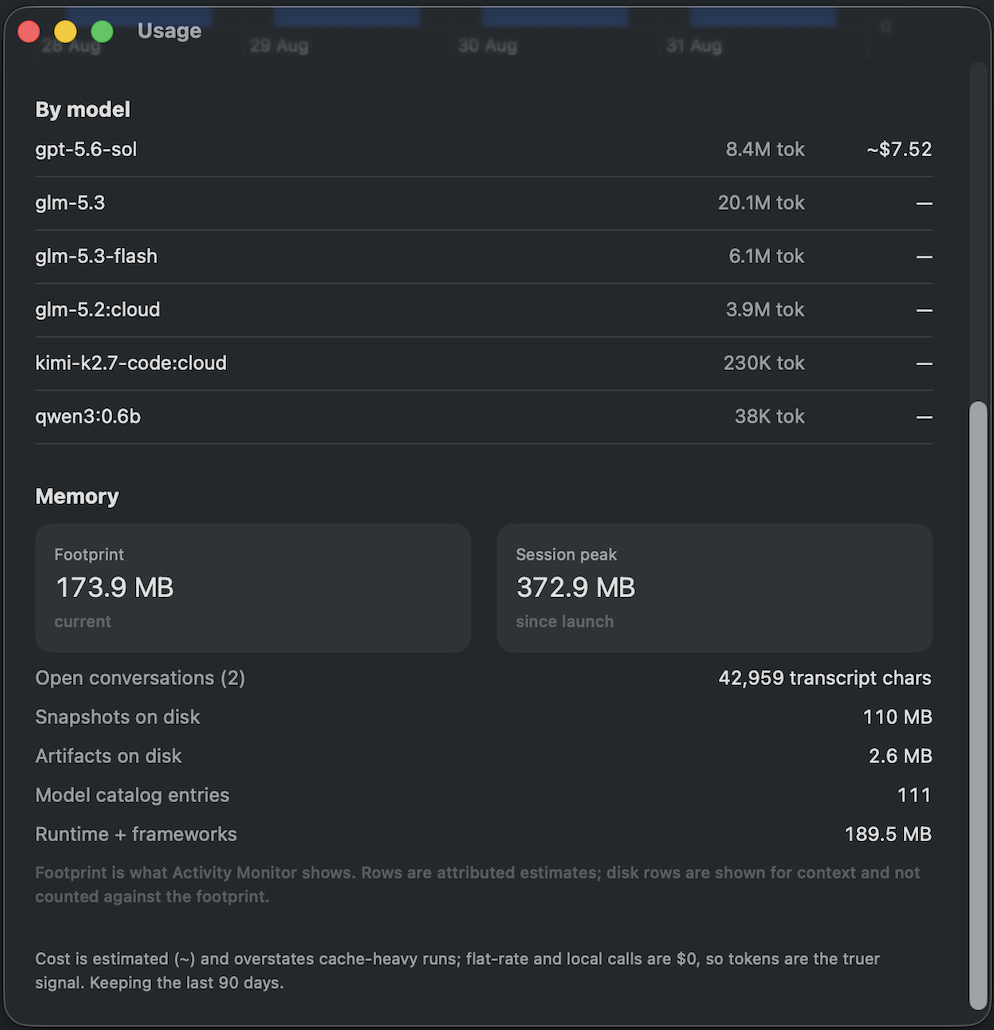 Naseem's Usage window — per-model token and cost breakdown, and the Memory panel showing a 174 MB live footprint with attribution